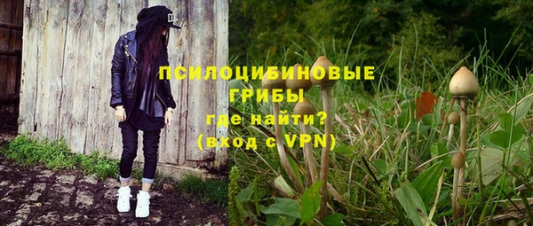 гидра Балахна