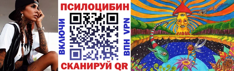 Галлюциногенные грибы Psilocybe  Родники 
